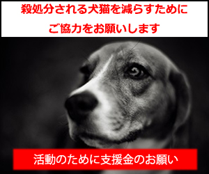 保護活動団体の一覧 都道府県 日本犬猫ライフサポートハウス Ninlise
